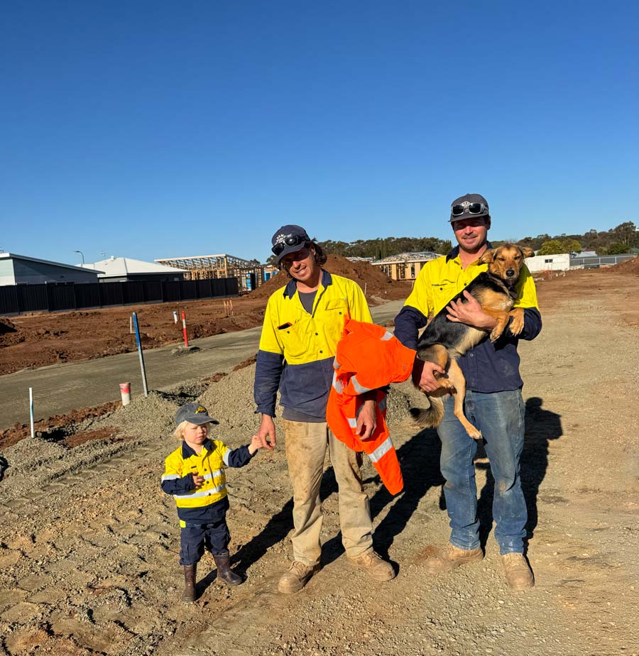 about-Adams-and-Co-Construction-Pty-Ltd-2